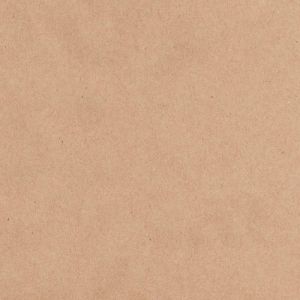 12 X 12 Cardstock Kraft