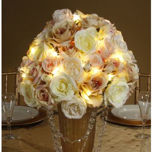 David Tutera Light Strand With Silver Wire 20 Lights 6.56 Feet