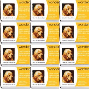 Spinrite Wonderart Latch Hook Kit 12inchX12inch Puppy Love 1 Pack of 12 Piece