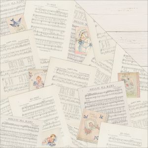 Peek A Boo 12 X 12 Inches Collection Double Sided Paper Bundle