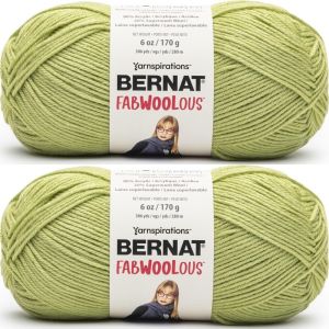 Spinrite Bernat Fabwoolous Yarn Lime 1 Pack of 2 Skein