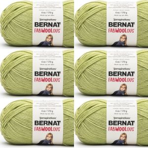Spinrite Bernat Fabwoolous Yarn Lime 1 Pack of 6 Skein