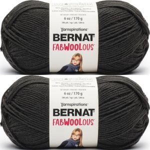 Spinrite Bernat Fabwoolous Yarn Coal 1 Pack of 2 Skein