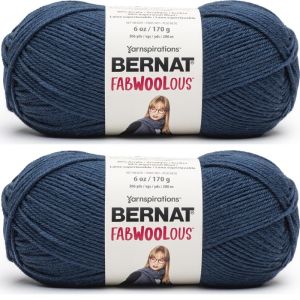 Spinrite Bernat Fabwoolous Yarn Navy 1 Pack of 2 Skein