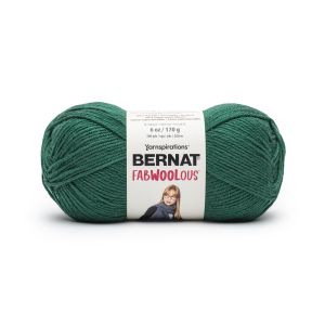 Spinrite Bernat Fabwoolous Skein