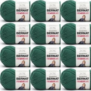 Spinrite Bernat Fabwoolous Yarn Pine 1 Pack of 12 Skein