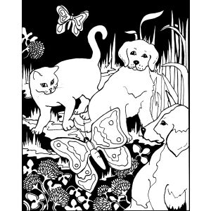 Velvet Color In Poster Puppies and Kittens 16 X 20 Inches