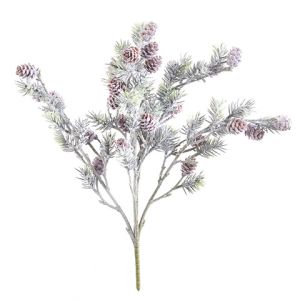 Bristle Pine Bush 11 X 20 Inches 2 Assorted Styles