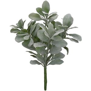 Lamb S Ear Spray Green White 5 X 18 Inches