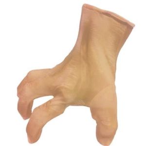 Sunstar Crawling Human Hand