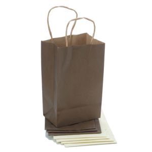 Paper Bag Shimmer with Handles 3.25 X 5.25 X 8.375 Inches