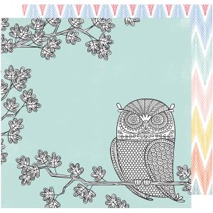 Collection 12 X 12 Double Sided Paper Night Owl