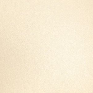 Crafter's Companion Shimmering Cardstock 6 X 6 Pearl Ivory