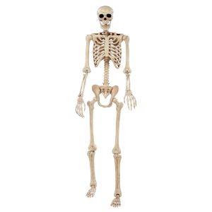 Seasons Large Pose N Stay Skeleton 74