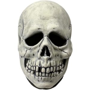 Nylabone Puppy Chew Nylon Dog Chew Toy, Chicken Flavor, Regular