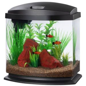 Aqueon LED MiniBow SmartClean Aquarium Kit Black, 2.5 gallon