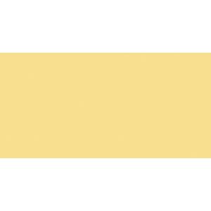 Coats All-Purpose Plastic Zipper 14