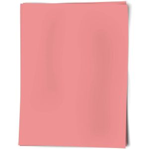 Primary Color Posterboard 22 inch X28 inch Pink