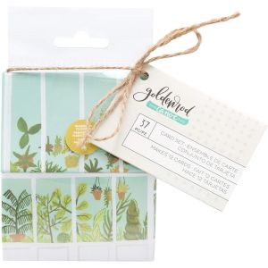 One Canoe Two House Box Card Set Goldenrod