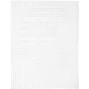 CousinDIY Plastic Canvas 10 Count 10 X 13 Inch White