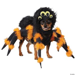 Morris PET SPIDER COSTUME