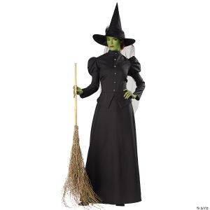 Morris Plus Size Classic Deluxe Witch Costume