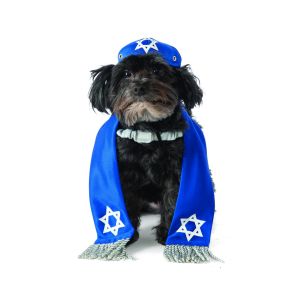 Rubies Yarmulke And Tallis Dog Costume Item ID 402372