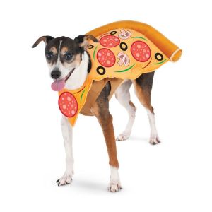 Pizza Slice Pet Suit Small