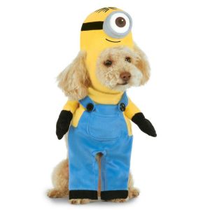 Minion Stuart Arms Pet Suit X Small