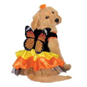 Monarch Butterfly Pet Costume Small
