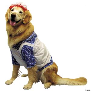 Morris Raggedy Ann Dog Costume Sm