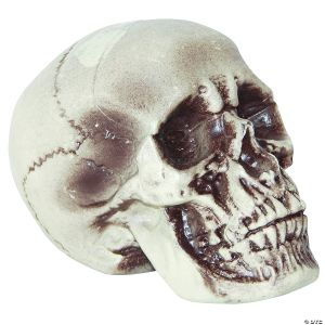 Morris REALISTIC SKULL DECORATION