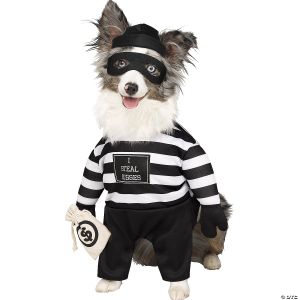 Morris Robber Pup Pet Costume
