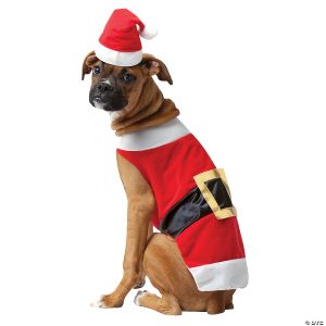 Morris Santa Pet Costume Lg