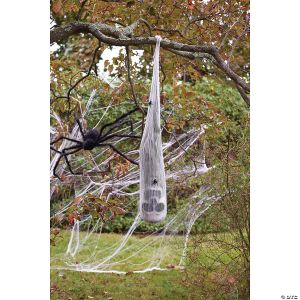 Morris Skull In Spider Cocoon