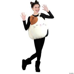 Morris SQUISHMALLOWS CAM CAT COSTUME