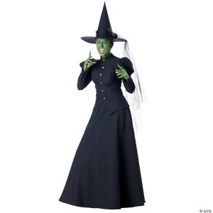 Morris WICKED WITCH ADULT WOMEN 4-6