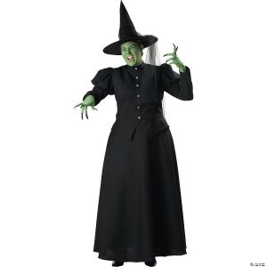 Morris Womens Plus Size Witch Costume