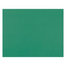  Pacon Posterboard 4 Ply 22 Inch X28 Inch Green