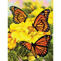  Junior Small Paint By Number Kit 8.75inchX11.75inch Majestic Monarchs