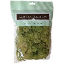  Quality Growers Preserved Reindeer Moss 108.5 Cubic Inches-Spring Green