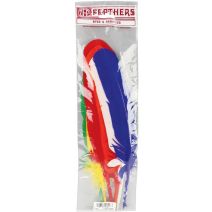 Turkey Quill Feathers 6 Per Pkg Primary