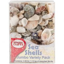  Mixed Sea Shells 2.5lb Container-Assorted