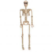 Seasons Crazy Bonez Posable Skeleton Decoration, 36"
