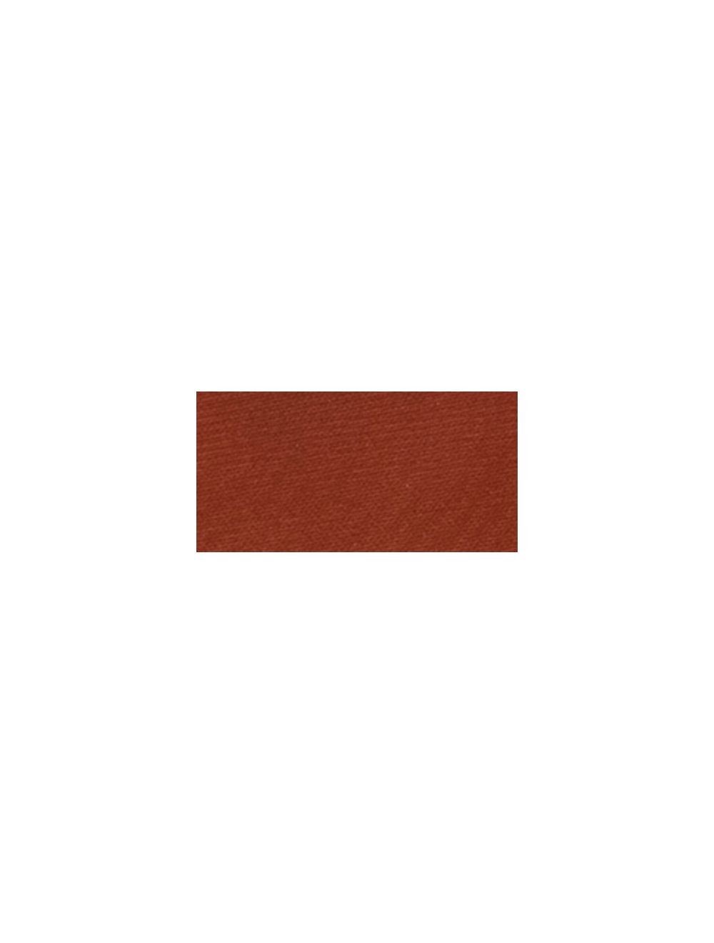 Jacquard Textile Color Paint 2.25 oz / Burnt Sienna